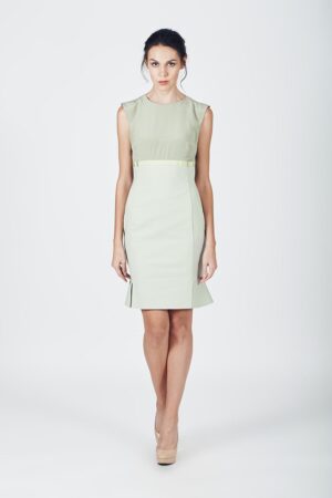 Sheath Dress